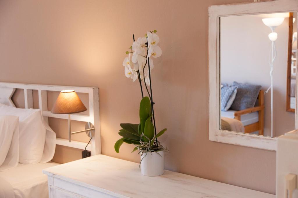 Zdjęcie z galerii obiektu Mojito Elegant Studios w mieście Platanias