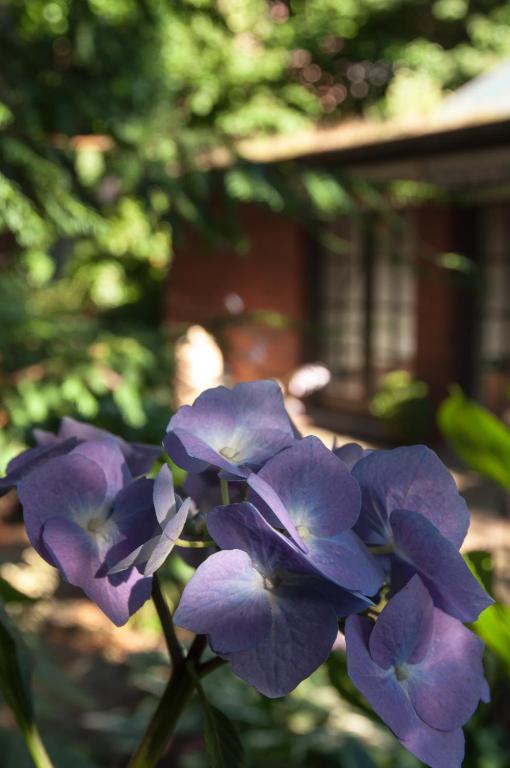 von Deska Townhouses - Ivy House - Resim 29