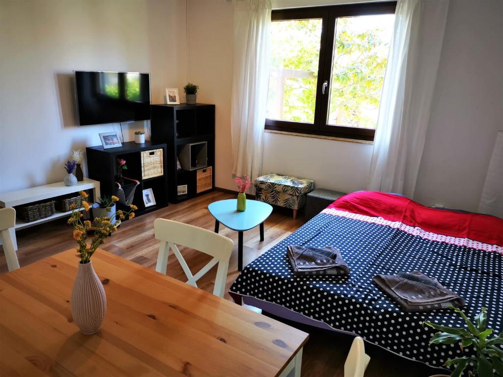 Televízia a/alebo spoločenská miestnosť v ubytovaní Apartments Dina