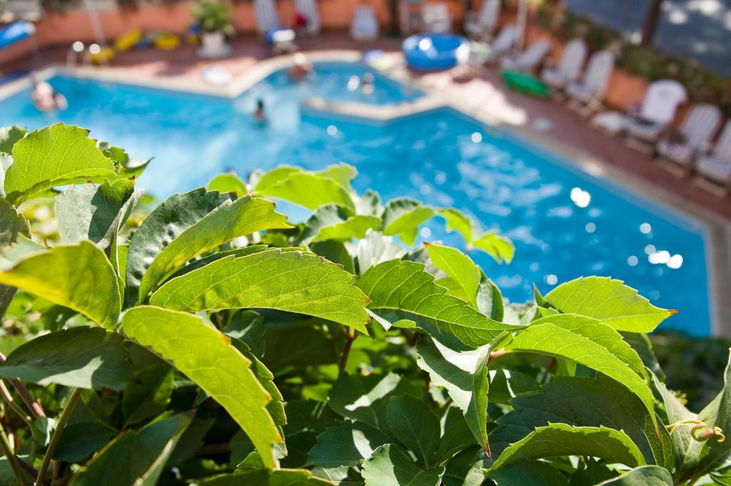 The swimming pool at or close to Hotel Meeting