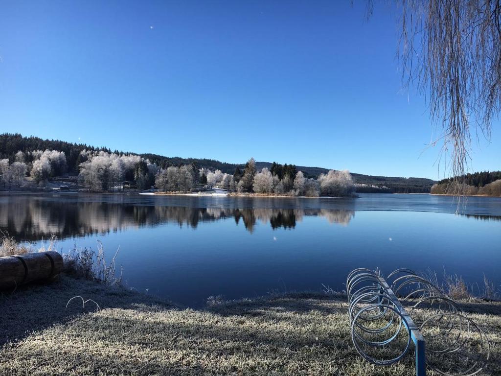 a view of a lake with trees in the background at Mala Narnia in Frymburk