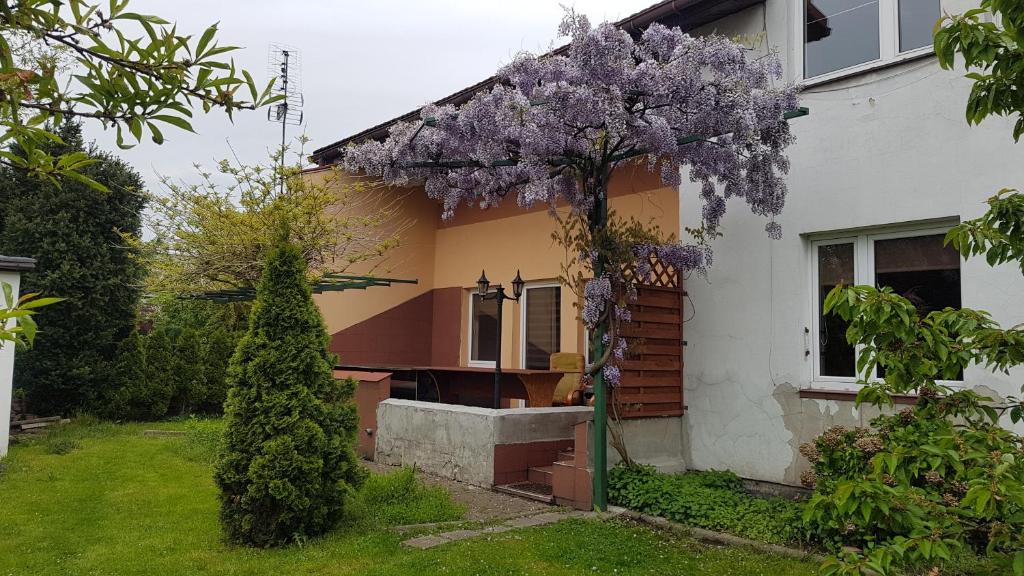 Noclegi Silesia Aster