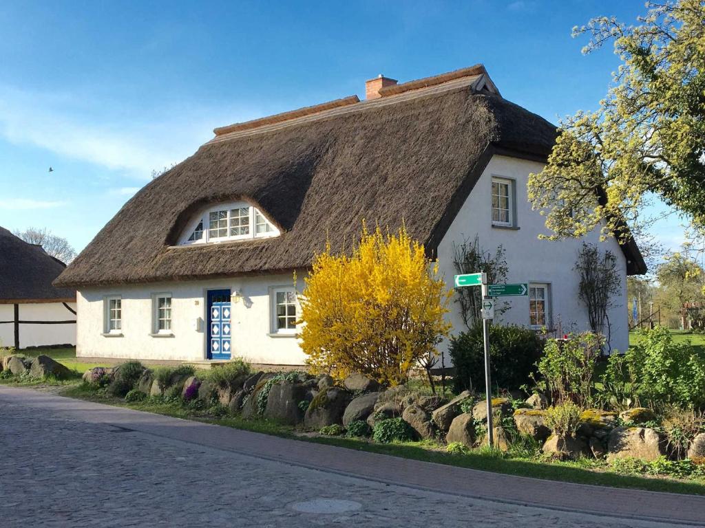 a white house with a thatched roof at Haus Ketzenberg 1 - Lütt Mööv in Groß Zicker