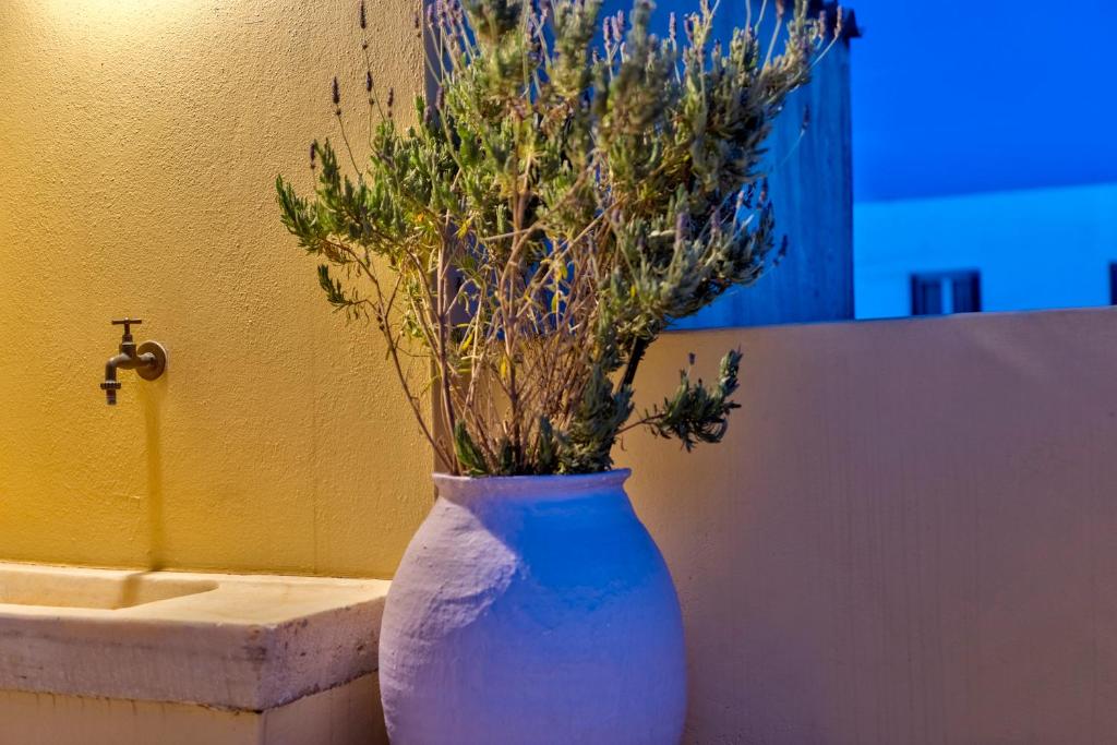 Island of Luxury Apartments - Appartement Avec Terrasse