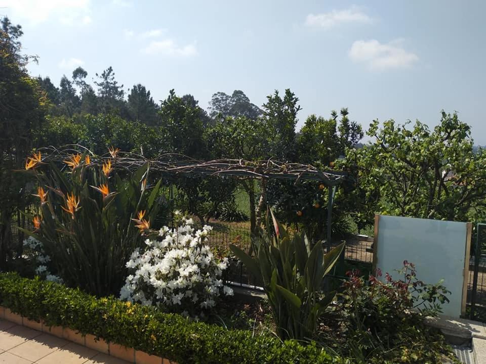 un jardin avec des fleurs et des plantes blanches dans l'établissement Casa da Estivada, 313, à Vila do Conde