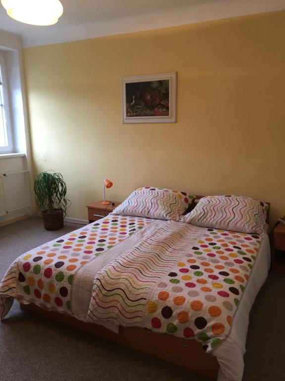 Byt - apartman في Větřní: غرفة نوم مع سرير مع لحاف ملون