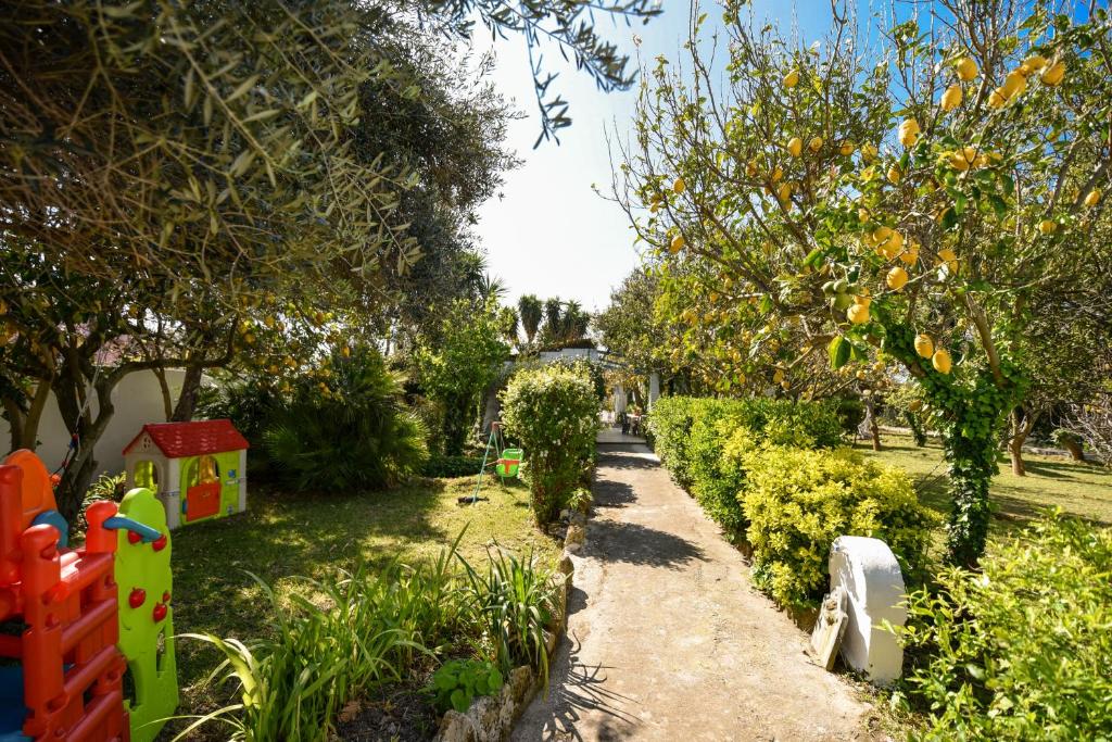 a garden with a path and trees and a fence at Le Querce in Procida