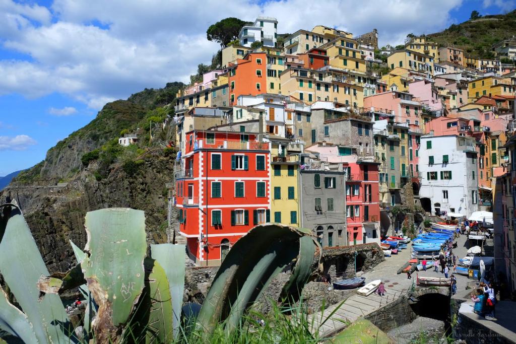 a group of colorful houses on a mountain at Meb in Riomaggiore