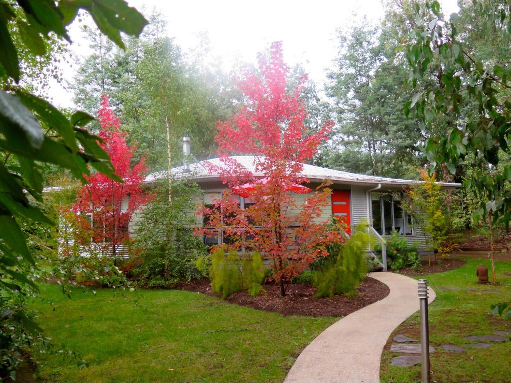 a house with red trees in front of it at Dalrymples Guest Cottages in Marysville