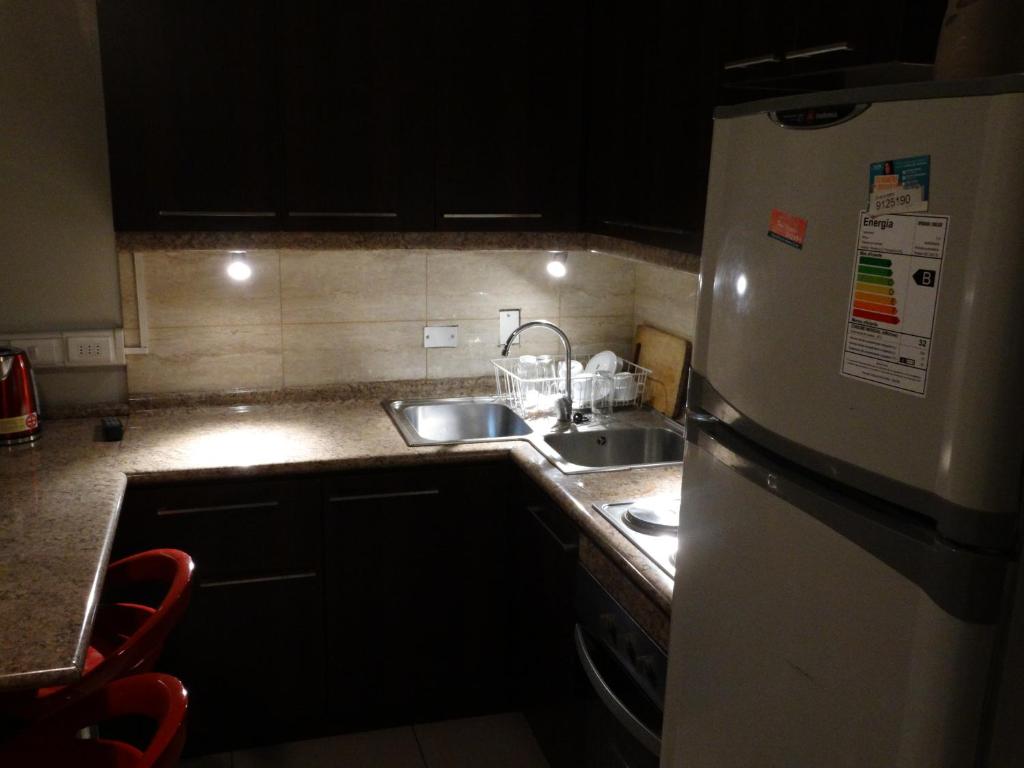 Kuchyň nebo kuchyňský kout v ubytování Hostal Quinta Normal