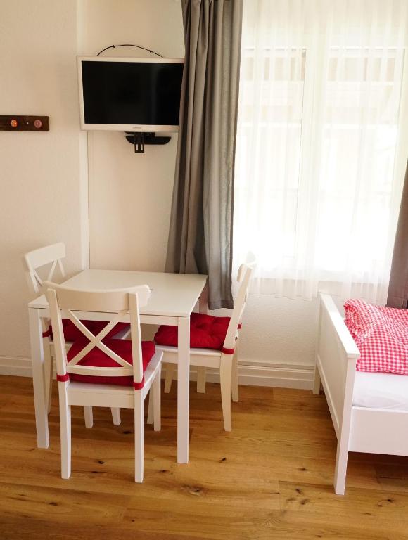 TV a/nebo společenská místnost v ubytování Adventure Guesthouse Interlaken