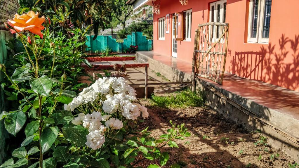 Zahrada ubytování Hobo Hostel
