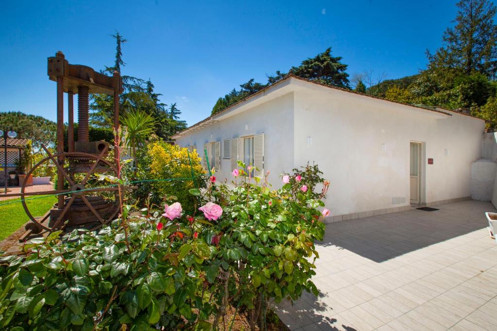A garden outside Hotel O Sole Mio