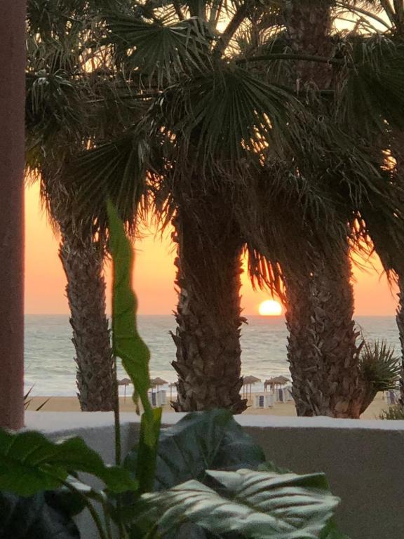 a view of the ocean from a resort with palm trees at Apartasuites Royal Zahara, Máximo confort con vistas al mar in Zahara de los Atunes