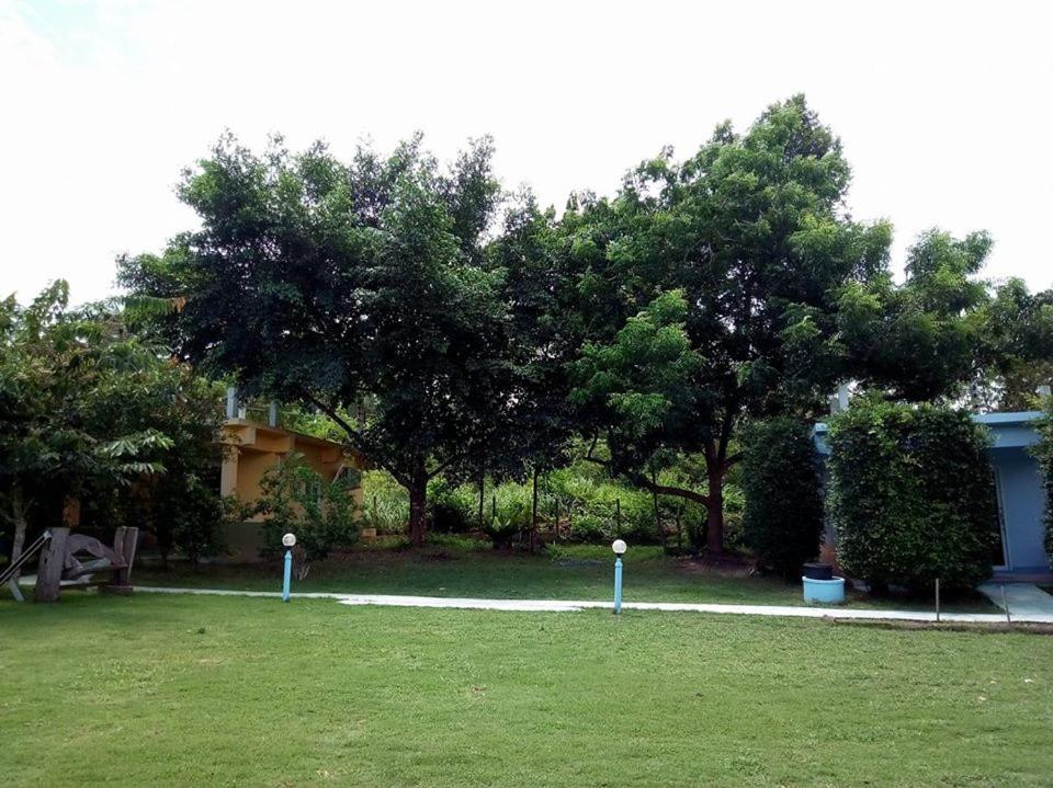 Zahrada ubytování AtMyHomeStay Bangsaphan
