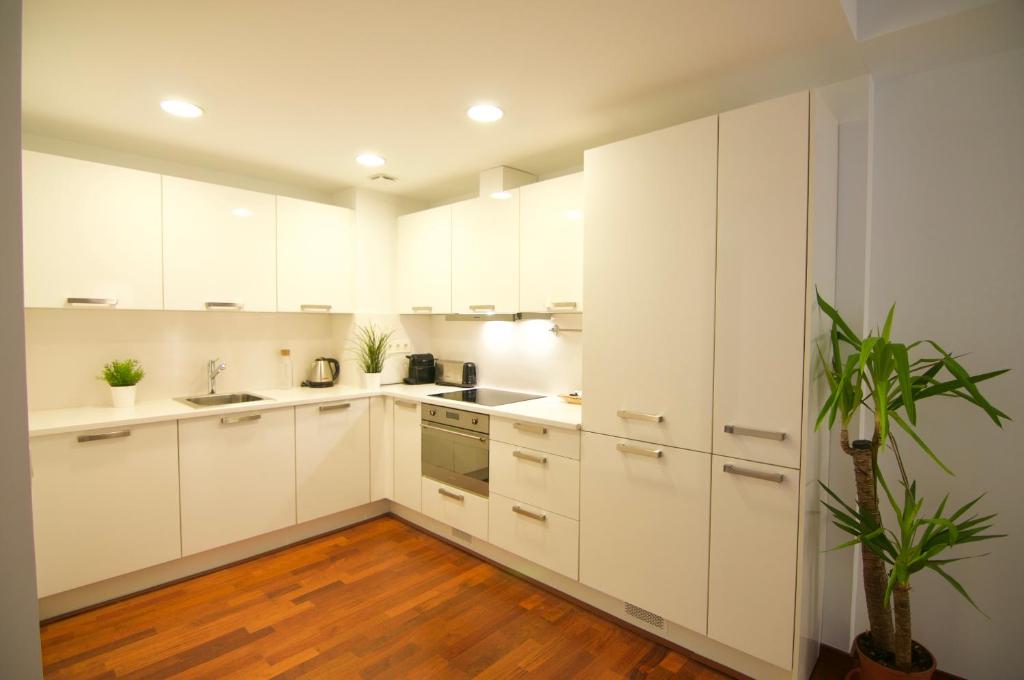 Kuchyň nebo kuchyňský kout v ubytování Glasir Apartments Barcelona