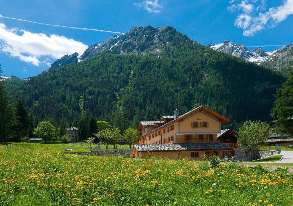 a house in a field with mountains in the background at Villa Fridau resort in Gressoney-Saint-Jean