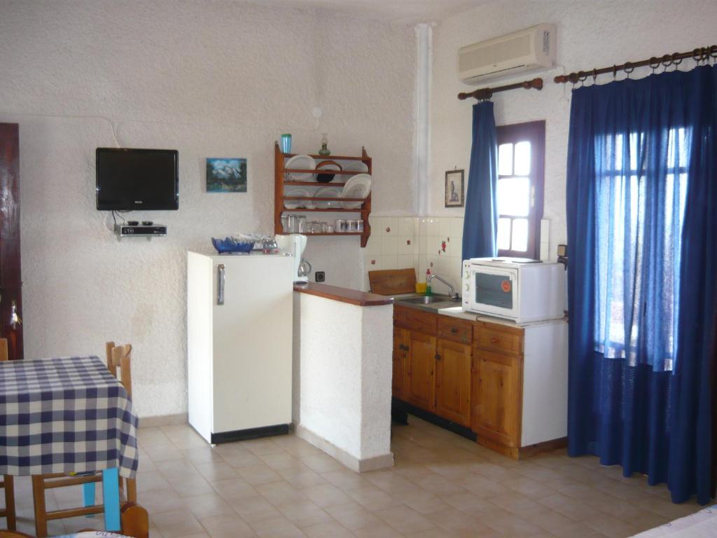 Kuchyň nebo kuchyňský kout v ubytování Villa Victoria