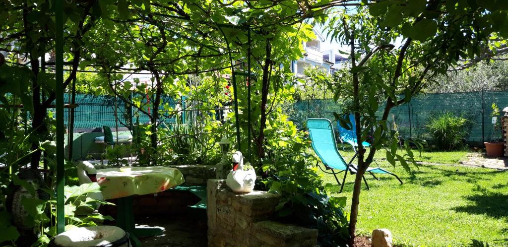 Zahrada ubytování Apartments Anić
