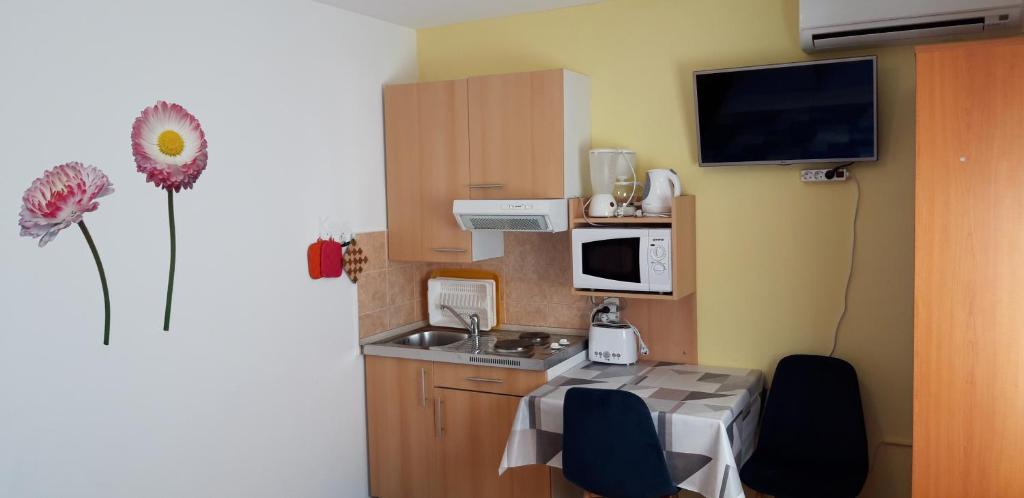 Kuchyň nebo kuchyňský kout v ubytování Apartments Anić