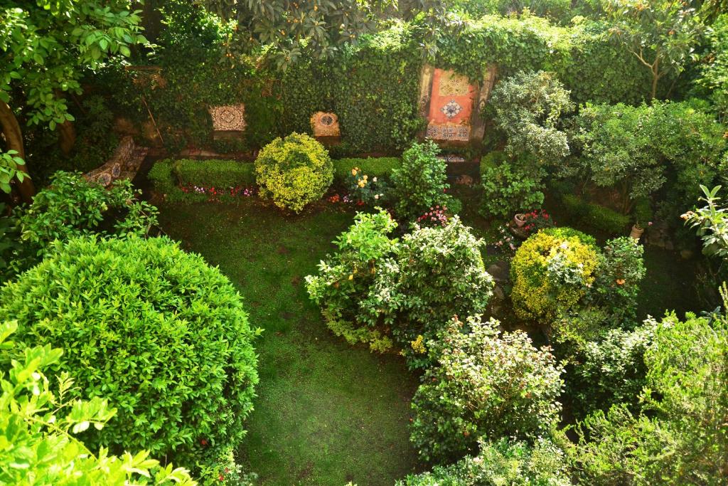una vista sul soffitto di un giardino con cespugli e fiori di L'Antica Dimora a Meta