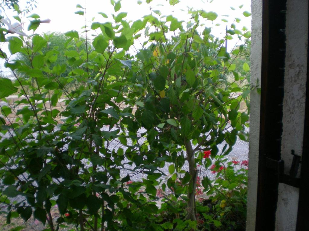 Villas Vista Del Mar - 12