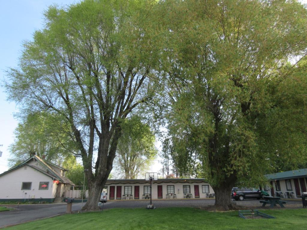 Zahrada ubytování The Willows Motel