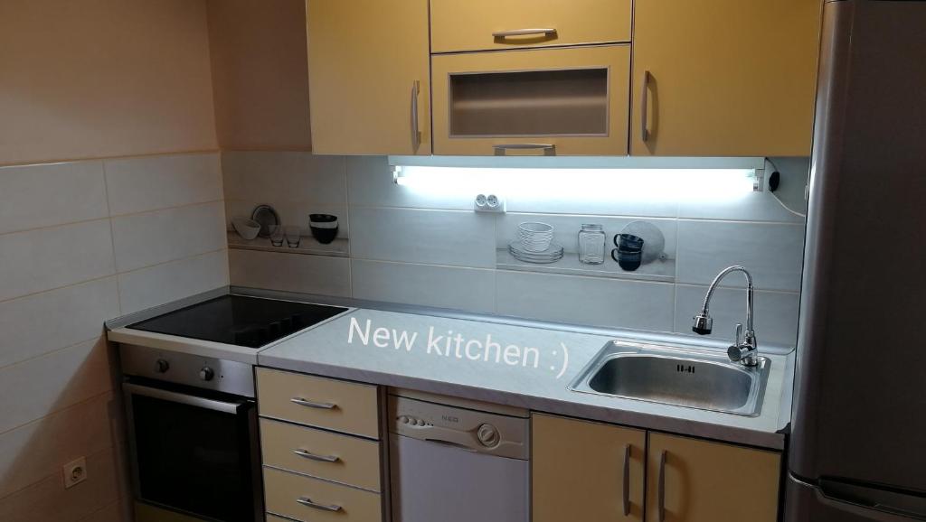 Kuchyň nebo kuchyňský kout v ubytování Apartments "Predah kod Baraća"