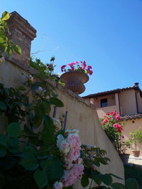 Ogród w obiekcie Torraccia di Chiusi Agriturismo Relais