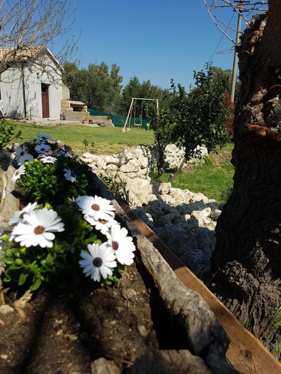 Zahrada ubytování Borgo Santa Lucia