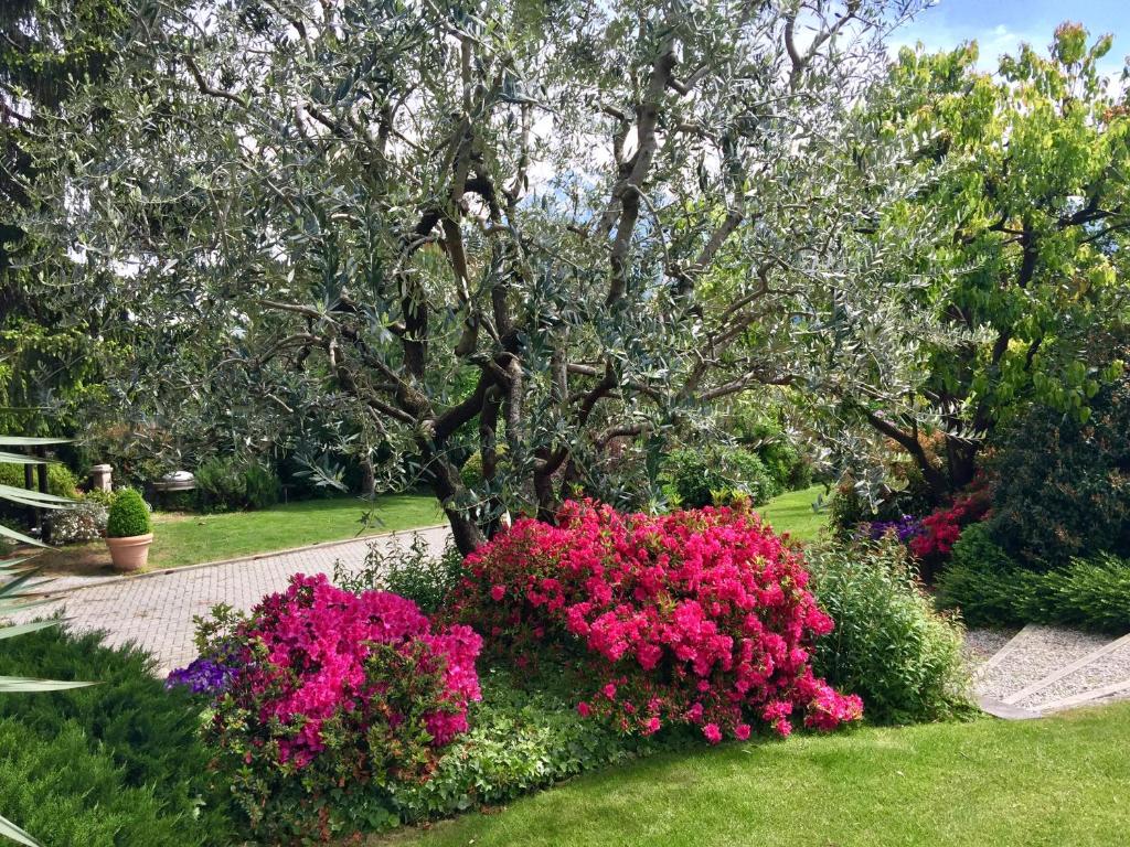 Zahrada ubytování IRIS 2 lago di Como