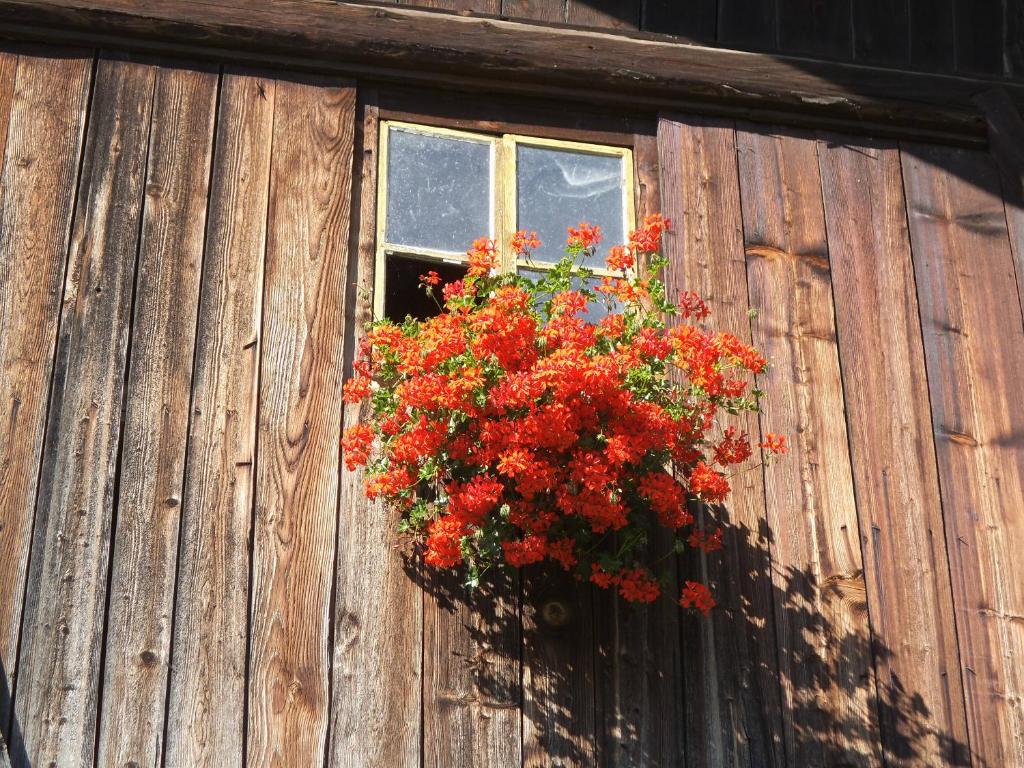 Fotografie z fotogalerie ubytování Steierhof v destinaci Feldthurns
