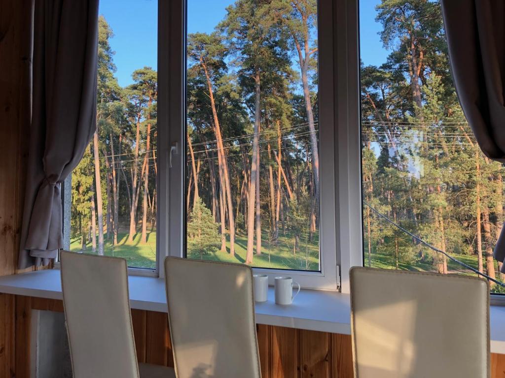 un tavolo e sedie di fronte a una finestra di Park Apartments a Kulautuva