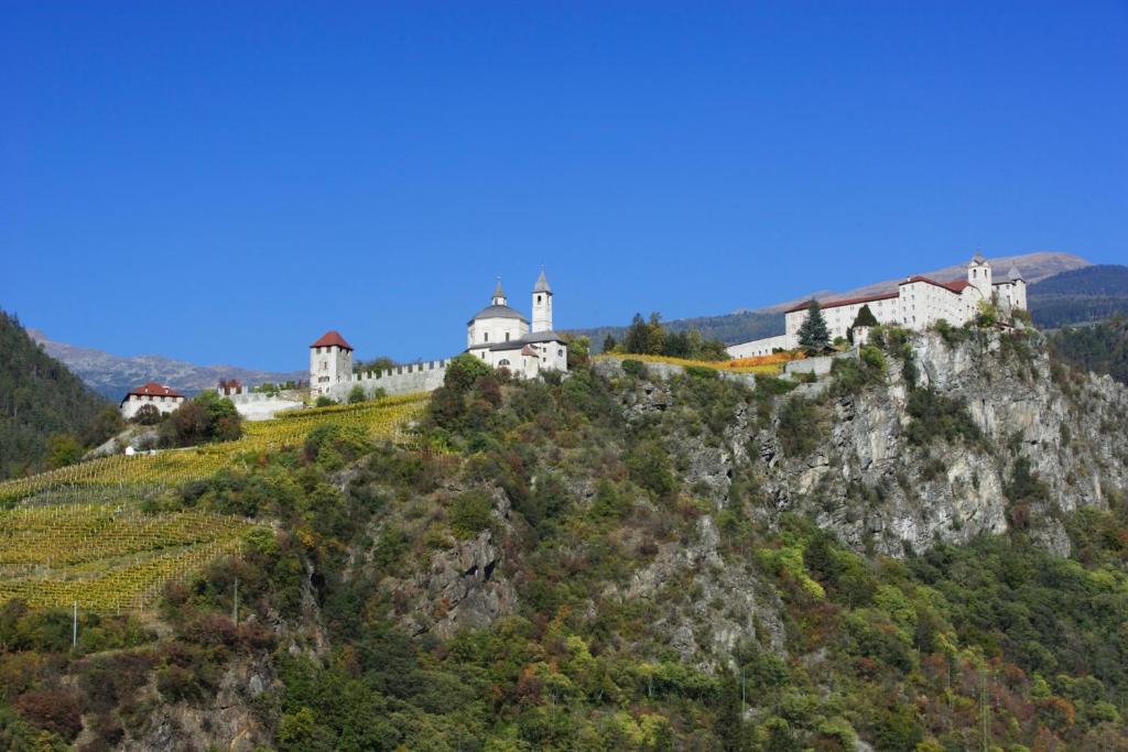 Příroda nedaleko apartmánu