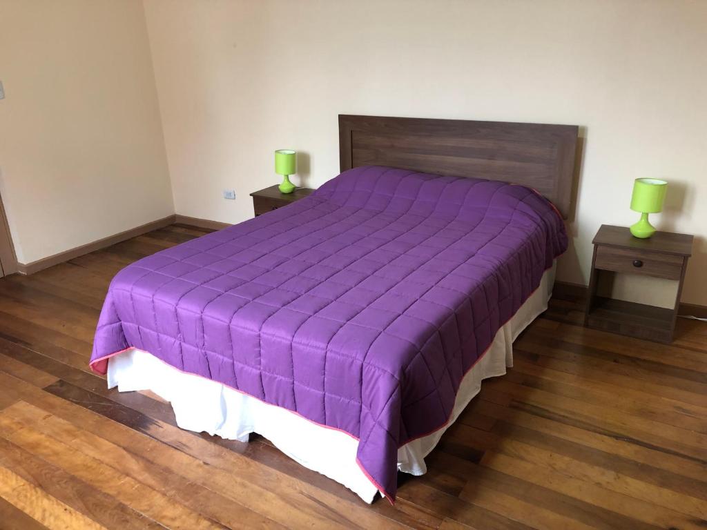 een slaapkamer met een paars bed en 2 nachtkastjes bij Hostal Ansaldi in Valparaíso