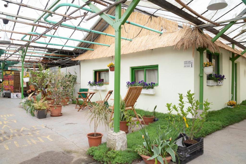 un invernadero con un montón de macetas en Rastlinky.sk Greenhouse Guestrooms, en Bratislava