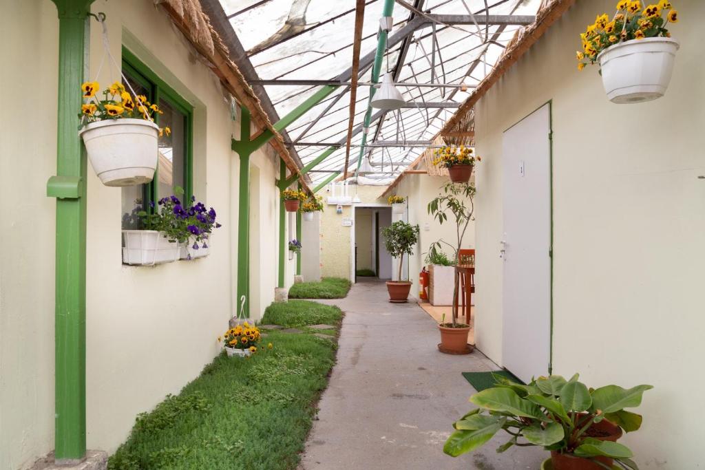 A garden outside Rastlinky.sk Greenhouse Guestrooms