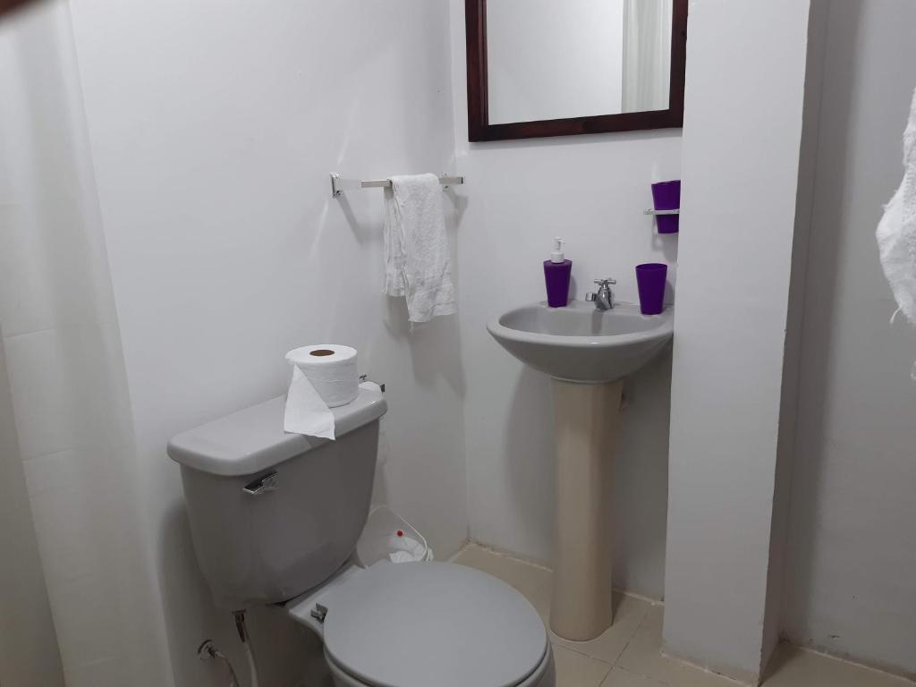Koupelna v ubytování Habitaciones Alkimya