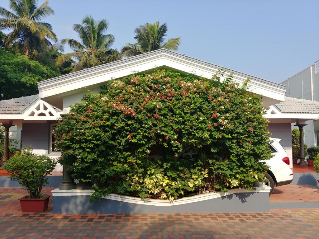 Gallery image of The Cute Resort in Mysore