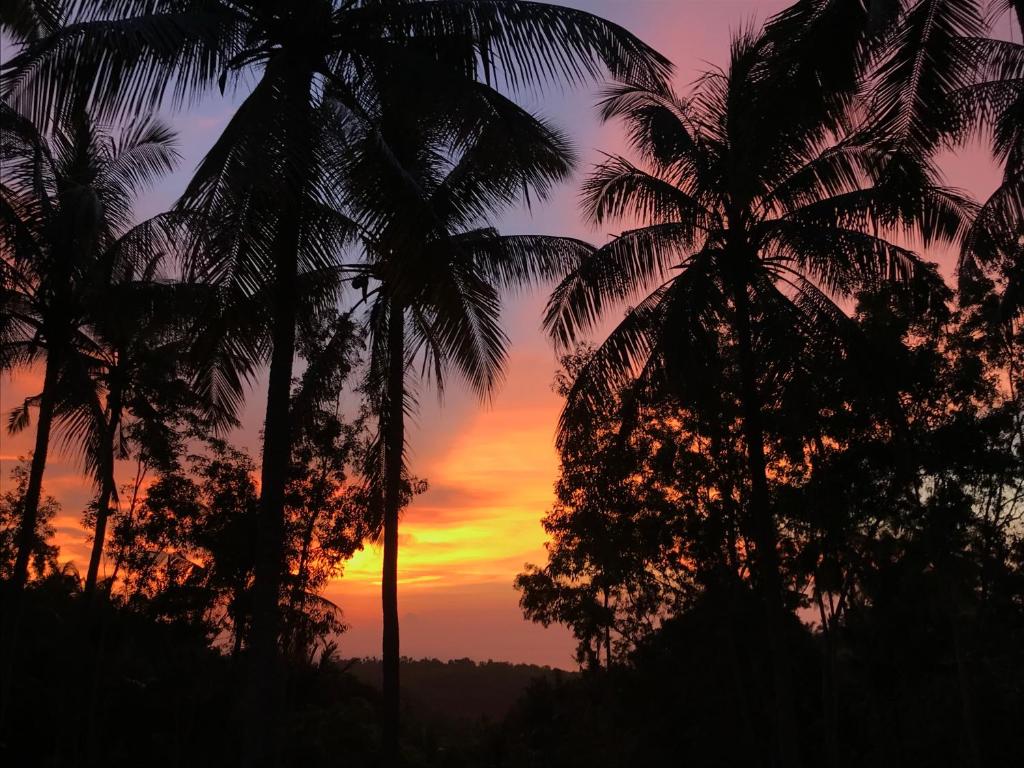 Meket Bungalows - 12