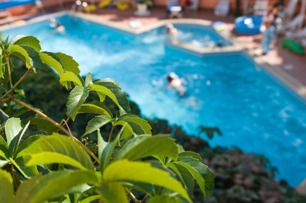 The swimming pool at or close to Hotel Meeting