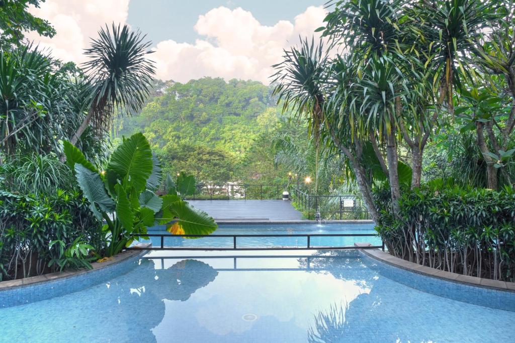 Bazén v ubytování Oak Tree Emerald Hotel & Coventions Semarang nebo v jeho okolí