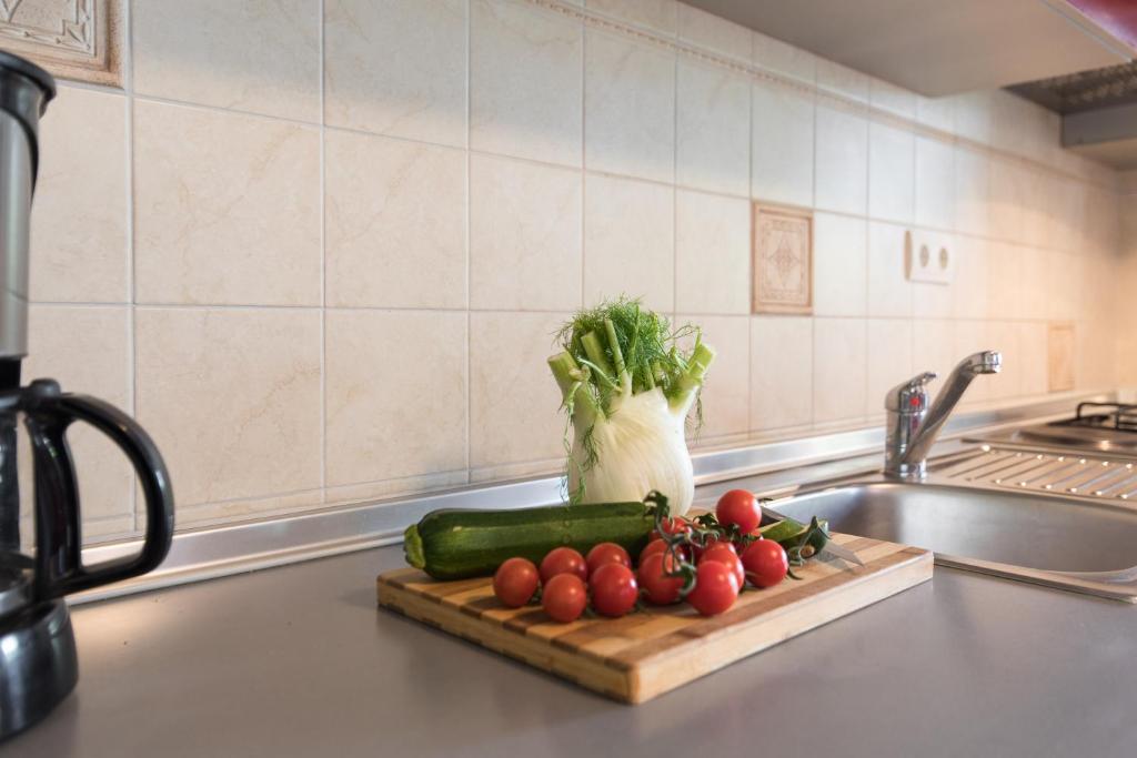 Kuchyň nebo kuchyňský kout v ubytování Apartment Josip Malin