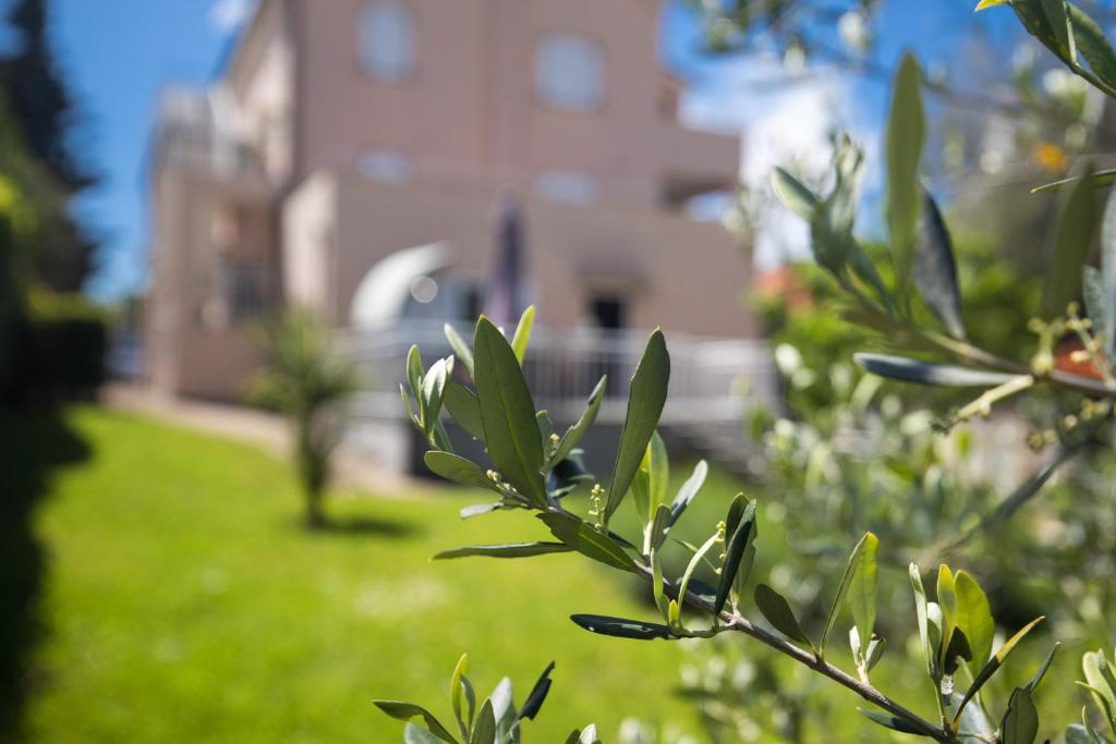 Zahrada ubytování Apartment Josip Malin