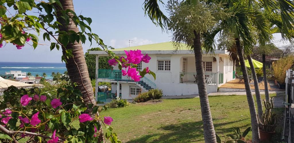 a house with palm trees in front of the ocean at TI-COLO in Sainte-Anne