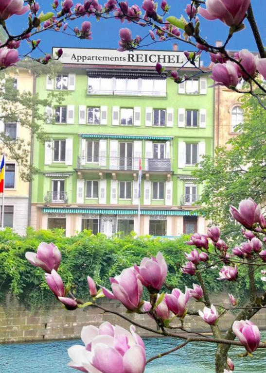 a flowering magnolia tree in front of a building at Reichel-Appartements in Baden-Baden