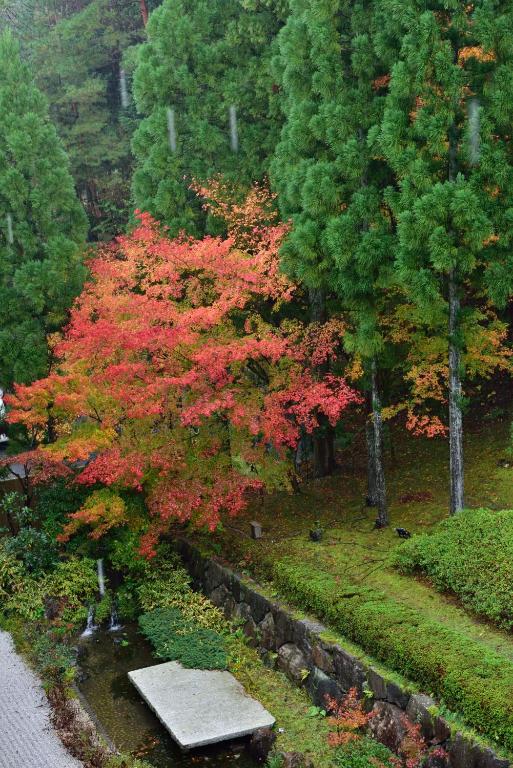 Zahrada ubytování Kyo Yunohana Resort Suisen