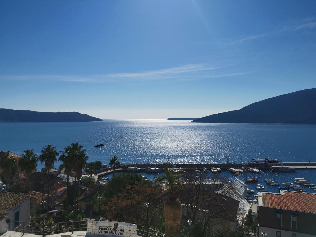 - Vistas a una gran masa de agua con barcos en Apartments La Dolce Vita, en Herceg-Novi
