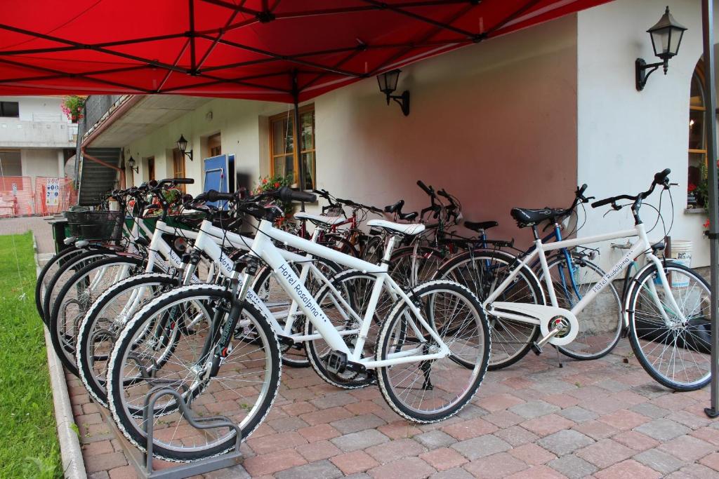 Jízda na kole v ubytování Hotel Rosalpina nebo okolí