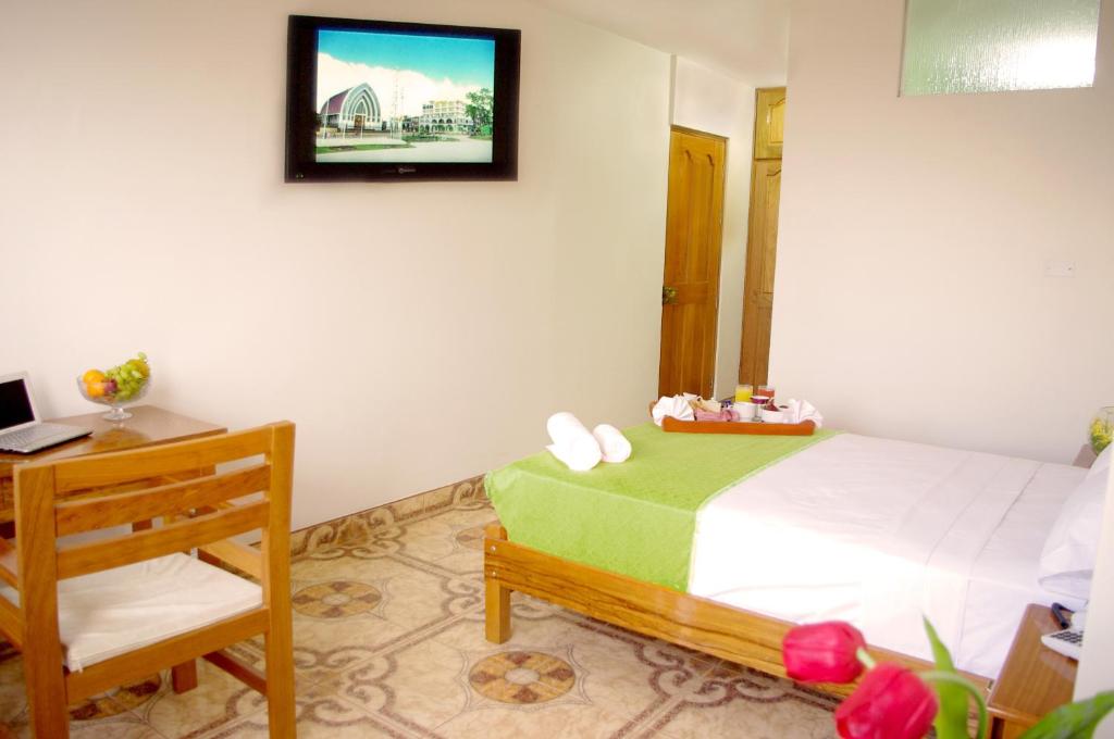 Del Castillo Plaza Hotel Pucallpa - Habitación Individual Estándar